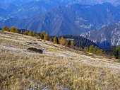 Alle Torcole vestite d'autunno il 23 ottobre 2011  - FOTOGALLERY